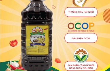 Tìm Mua Tương Đen An Toàn Và Ngon – Chọn Tương Việt Hoa Sen Ngay!